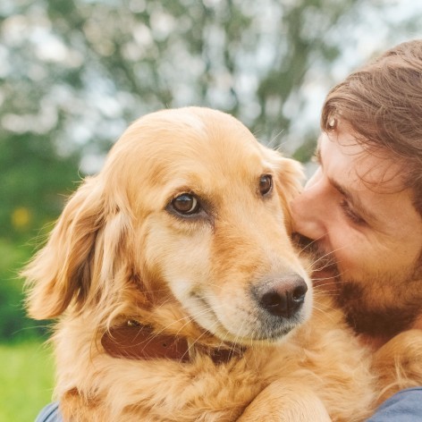 Dog Emotions and How to Read Them