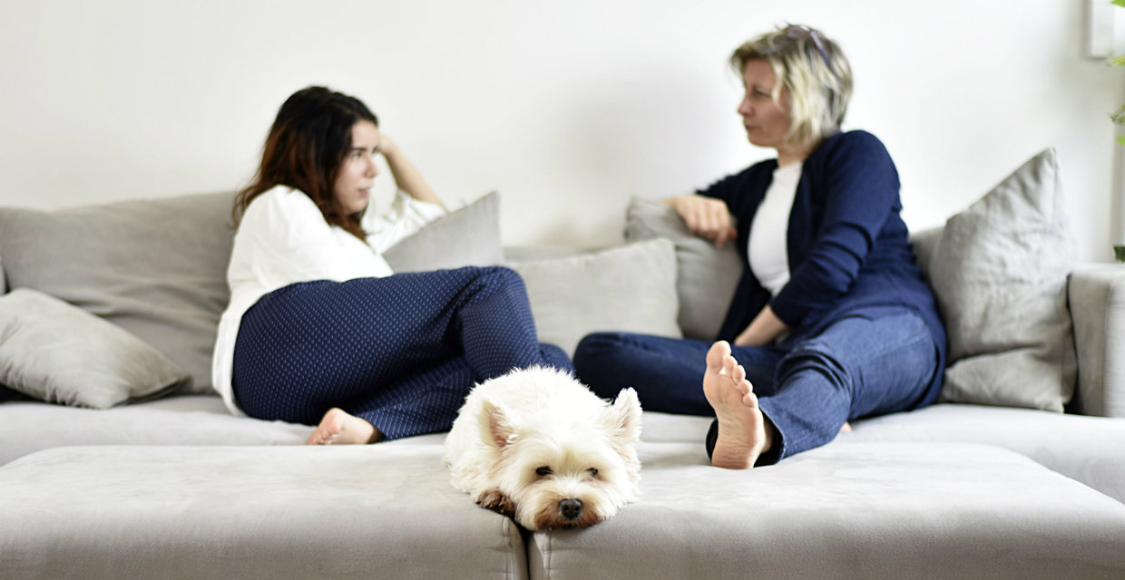 Custody of Pets in Separation