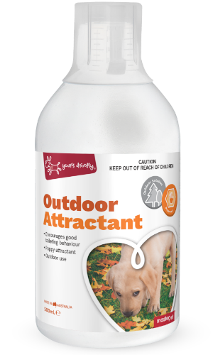 Outdoor Attractant
