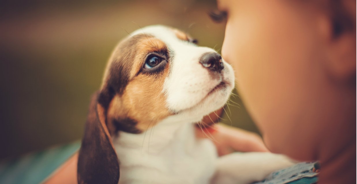 5 Things to Consider before Getting a Puppy