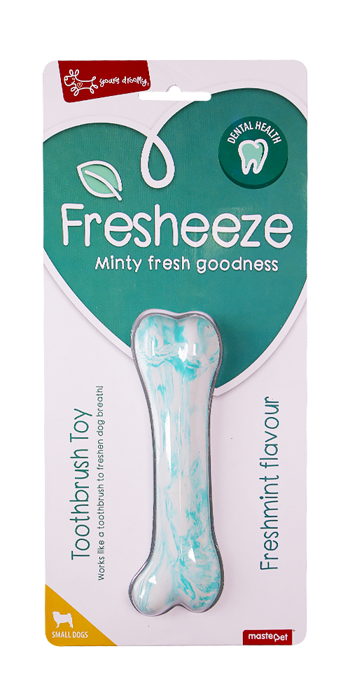 Fresheeze Dental Toothbrush Toy
