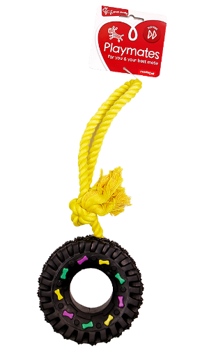 Tyre Dog Toy