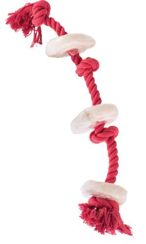 Rope and Rawhide Dog Toy